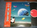 キング・コング・パラダイス 　キングコングパラダイス KING KONG PARADISE - 1000/1青い空になれ(MINT-/MINT-) / 1977 JAPAN ORIGINAL Used LP With OBI 