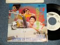 山下敬二郎 KEIJIRO YAMASHITA - A)ダイアナ DIANA  B) バルコニーに座って SITTIN' IN THE BALCONY (Ex++/Ex++ Looks:MINT- WOFC) / 1977 JAPAN REISSUE "WHITE LABEL PROMO" Used 7" Single 