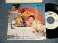 山下敬二郎 KEIJIRO YAMASHITA - A)ダイアナ DIANA  B) バルコニーに座って SITTIN' IN THE BALCONY (Ex++/Ex++ Looks:MINT- WOFC) / 1977 JAPAN REISSUE "WHITE LABEL PROMO" Used 7" Single 