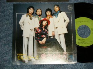 画像1: 平田隆夫とセルスターズ TAKAO HIRATA & SELSTARS - A)愛のおわり   B)未練酒 (MINT-/MINT-) / 1975 Japan Original Used 7" 45 rpm Single シングル