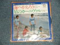 シャープ・ホークス　THE SHARP HAWKS  - 海へ帰ろう　：星のカーニヴァル (NEW) / 1983  JAPAN REISSUE"BRAND NEW" 7" シングル
