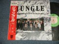 TC Soundtrack 林哲司 TETSUJI HAYASHI ジャッキー・リン＆パラビオン -  ジャングル JUNGLE (MINT-/MINT) / 1987 JAPAN ORIGINAL Used LP With OBI