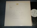 MASAHARU 鶴久政治 (Tsuruku Masaharu) (CHECKERS) - TIMELY (Ex+++/MINT-) /1989 JAPAN ORIGINAL Used LP 