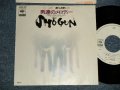 SHOGUN ショーグン -  A)男達のメロディー B)サタデー・サイクロン SATURDAY CYCLONE  (Ex+++/MINT-) /1979 JAPAN ORIGINAL "WHITE LABEL PROMO" Used 7" Single 