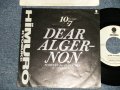 氷室京介 KYOSUKE HIMURO of BOOWY ボウイ - A)SDEAR ALGERNON  B) none track (Ex/Ex+ SWOFC) / 1988 JAPAN ORIGINAL "PROMO ONLY"  "ONE SIDED" Used 7" 45 Single 