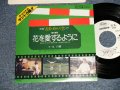 永 六輔 ROKUSUKE EI - 映画「春男の翔んだ空」A)花を愛するように  B)花を愛するように(INST)  (MINT-/MINT) / 1977 JAPAN ORIGINAL "WHITE LABEL PROMO" Used 7"Single