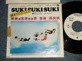 サディスティック・ミカ・バンド SADISTIC MIKA BAND - 塀までひとっとび SUKI SUKI SUKI (Ex+/MINT-) / 1975 JAPAN ORIGINAL "WHITE LABEL PROMO" Used 7" Single 