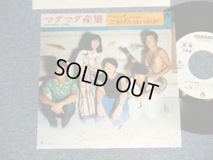 画像1: サディスティック・ミカ・バンド SADISTIC MIKA BAND - A)マダマダ産婆 Mada Mada Samba  B)ヘーイ、ごきげんはいかが Hi Jack (Ex+++/MINT-) / 1975 JAPAN ORIGINAL "WHITE LABEL PROMO" Used 7" Single 