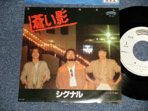 画像1: シグナル SIGNAL - A)蒼い影  B)いつまでも海は (Ex+++/MINT-)  / 1981 JAPAN ORIGINAL "WHITE LABEL PROMO" Used 7" Single
