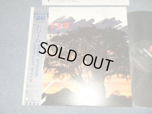 画像1: 本田俊之 TOSHIYUKI HONDA チック・コリア CHICK COREA ミロスラフ・ビトウス MIROSLAV VITOUS ロイ・ヘインズ ROY HAYNES - ドリーム DREAM (Ex+++/MINT /1984 JAPAN ORIGINAL  Used LP with OBI    