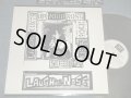 ラフィン・ノーズ LAUGHIN' NOSE - LAUGHIN' CUNTS UP YOUR NOSE (MINT-/MINT-)  / 1995 JAPAN ORIGINAL Used LP