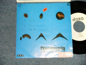 画像1: カズミ・バンド KAZUMI BAND - A)RIBOJ リボージ  B)カゴのニュアンス (Ex+/MINT- STOFC, WOFC) / 1982 JAPAN ORIGINAL "PROMO ONLY" Used 7" Single