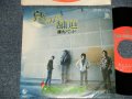 藤丸バンド FUJIMARU BAND - 哀しみの舗道(Ex++/MINT-) / 1977 JAPAN ORIGINAL Used 7" Single