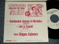 Shigeru Kajiwara - A)SentimentalＪourney In Ｍushaku 無錫旅情 B)Life Is Scarlet 命くれない (MINT-/MINT-) / 1980's JAPAN ORIGINAL "PROMO ONLY" Used 7" Single 