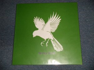 画像1: B@by Soul ベイビー・ソウル - time-less clock (SEALED) / 2003 JAPAN ORIGINAL "BRAND NEW SELF-SEALED" 12"