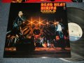 クールス・ロカビリー・クラブ COOLS ROCKABILLY CLUB - DEAD HEAT HIBIYA 日比谷 (MINT-/MINT) /  JAPAN ORIGINAL Used LP