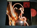 大江慎也 SHINYA OHE  of ルースターズ The ROOSTERS - HUMAN BEING (MINT-/.MINT) / 1987 JAPAN ORIGINAL Used LP