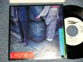 ダウン・タウン・ブギウギ・バンド  DOWN TOWN BOOGIE WOOGIE BAND - A)しのび逢い   B)あいつの好きそなブルース (MINT-/Ex+++ BB) / 1976 JAPAN  ORIGINAL "WHITE LABEL PROMO" Used 7" Single