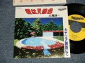  大滝詠一 OHTAKI EIICHI  - A)君は天然色 KIMI WA TENNENSHOKU  B)カナリア諸島にて CANARIA SHOTO NITE  (MINT/MINT) / 1981 JAPAN ORIGINAL Used 7" Single 