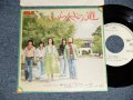 (平田隆夫と)セルスターズ (TAKAO HIRATA &) SELSTARS - A)いらくさの道   B)愛の砂漠(Ex++/MINT-) / 1975 Japan Original "WHITE LABEL PROMO" Used 7" 45 rpm Single シングル