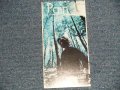 石川寛門 HIROTO ISHIKAWA - Pain (Ex++/MINT SWOFC, WOLC) / 1997 JAPAN ORIGINAL "PROMO" Used Single CD