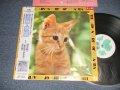 ost 坂本龍一 RYUUICHI SAKAMOTO - 子猫物語 ~The Adventures Of Chatran (MINT-/MINT-) / 1986 JAPAN ORIGINAL "PROMO" "Without POSTER...MISSING"  Used LP with OBI 
