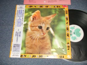 画像1: ost 坂本龍一 RYUUICHI SAKAMOTO - 子猫物語 ~The Adventures Of Chatran (MINT-/MINT-) / 1986 JAPAN ORIGINAL "PROMO" "Without POSTER...MISSING"  Used LP with OBI 