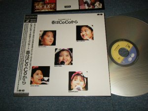 画像1: ＣoCo / Co Co - 春はCo Coから (MINT/MINT-) /  JAPAN ORIGINAL Used LaserDisc with OBI