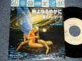 サーカス CIRCUS - A)時よゆるやかに Tokiyo Yuruyakani  B)愛のカンタータ Aino Cantata(Ex++/MINT-) / 1981 JAPAN ORIGINAL Used 7"45 Single  
