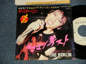 画像1: ザ・スターリン The STALIN - ロマンチスト (VG++/Ex TOC)  / 1982 JAPAN ORIGINAL "White Label  PROMO" Used 7"45 rpm Single