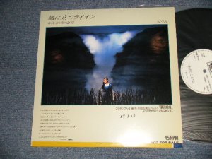 画像1: さだまさし  MASASHI SADA  - 風に立つライオン（Ex++/MINT- TAPE, SWOFC) / 1987 JAPAN ORIGINAL "PROMO ONLY"  Used 12" Single 