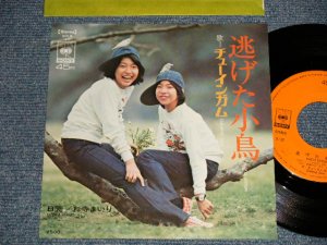 画像1: チューインガム  CHEWING GUM  - A)逃げた小鳥  B)お寺まいり  (MINT-/Ex+++ Visual Grade)   / 1973  JAPAN ORIGINAL Used 7" Single  シングル