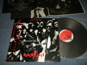 画像1: ブラック・キャッツ　BLACK CATS - 第3倉庫 ONE NIGHT SHOW (With INSERTS)  (MINT-/MINT)  / 1985 JAPAN ORIGINAL Used LP With OBI   