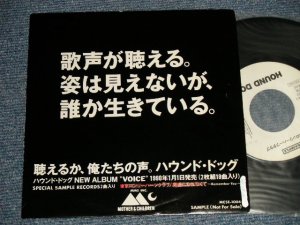 画像1: ハウンド・ドッグ HOUND DOG - A)東京ロンリーハーツクラブ   B)素直になれなくて  (Ex++/MINT- SWOFC) / 19873APAN ORIGINAL "PROMO ONLY" Used 7" 45 rpm Single 