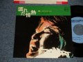 しばたはつみ HATSUMI SHIBATA - A)濡れた情熱  B)私の彼 (Ex++/Ex+) / 1976 JAPAN ORIGINAL "PROMO" Used 7" Single 