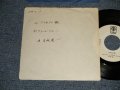 岩城滉一KOHICHI IWAKI (COOLS) - A)TOKYO豚  B)フィール・ブルー  (?/Ex++) / 1980 JAPAN ORIGINAL "promo only"Used  7"Single