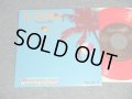 川上つよしと彼のムードメイカーズ Tsuyoshi Kawakami & His Moodmakers  Ice Ball (NEW)/ 2006JAPAN ORIGINAL "red wax/vinyl" "brand new" 7"Single