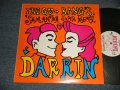 ゴーバンズ GO-BANG'S - SAMANTHA (SUPER REMIX(Ex+/MINT-) /1991 JAPAN ORIGINAL "PROMO ONLY" Used 12”