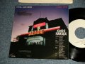 浜田金吾 KINGO HAMADA - A)HOTEL SURF-RIDER  )LONELY WIND (Ex/MINT- REMOVED ARK) / 1980 JAPAN ORIGINAL "WHITE LEBEL PROMO” Used 7" 45rpm Single