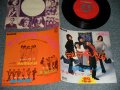 ザ・カーナビーツ THE CARNABEATS - A)テルテル天国   B) 真夜中の恋人たち (MINT-/MINT- Visual Grade) / 1969 JAPAN ORIGINAL "RED LABEL PROMO"  Used 7" シングル