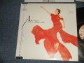 佐藤 隆 Takashi Sato - 水の中の太陽  Le Soleil Dans Leau (Ex+++/MINT-)  / 1987 JAPAN ORIGINAL Used LP with OBI