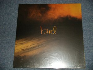 画像1: BIRD バード - 君の音が聴こえる場所へ (NEW)  / 1999 JAPAN ORIGINAL "BRAND NEW" 12"