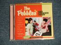 THE PEBBLES ザ・ペブルス - PINK STACHIO CANDY (MINT-/MINT) / 2001 JAPAN ORIGINAL Used CD