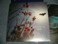 JIGHEAD ジグヘッド - セキセイインコ (NEW)  / 2001 JAPAN ORIGINAL "BRAND NEW" 12"