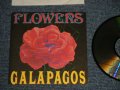 ガラパゴス GALAPAGOS - FLOWERS (MINT/MINT) /  1991 JAPAN ORIGINAL "PROMO ONLY"Used CD