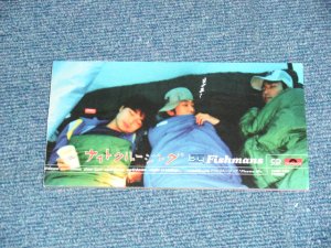 画像1: フィッシュマンズ FISHMANS -  ナイト・クルージング NIGHT CRUISIN' (Ex+++/MINT) / 1995 JAPAN ORIGINAL Used 3" 8cm CD Single 