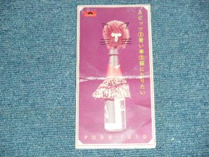 画像1: スピッツ SPITZ - 青い車 (VG++/MINT BEND) / 1994 JAPAN ORIGINAL Used 3" 8cm CD Single 