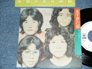 画像1: バンバン BANG BANG - A)何永すぎた春   B)早くむかえにきて (Ex/MINT- SWOFC, TEAR) / 1973 JAPAN ORIGINAL "WHITE LABEL PROMO" Used 7" シングル Single 