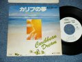 デューク・エイセス DUKE ACES - A) カリブの夢 Caribbean Dream B) 愛の挽歌 = Ai No Banka (Ex+++/Ex CLOUD) / 1977 JAPAN ORIGINAL "WHITE LABEL PROMO" Used 7" Single シングル