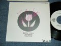 チューリピアン ulipian  - A) 風のスケートリンク  B) Passion Blue (Eye On You) (Ex++/Ex+++ SWOFC)  / 1989 JAPAN ORIGINAL "PROMO ONLY"  Used 7" Single シングル
